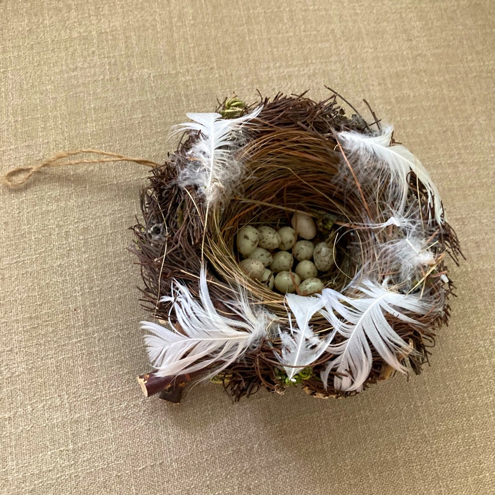 Decorative Birds Nest with‎ Eggs